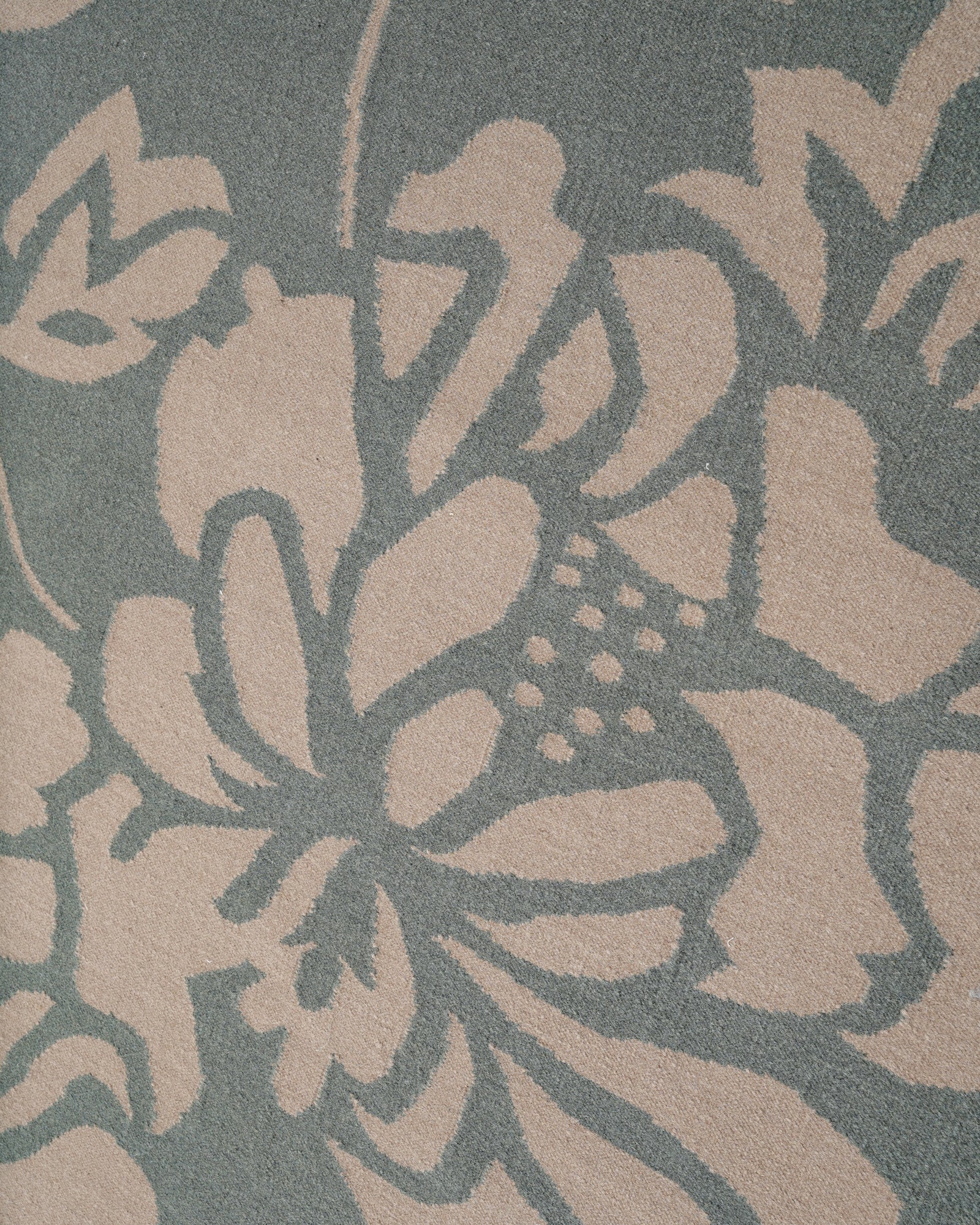 Flora